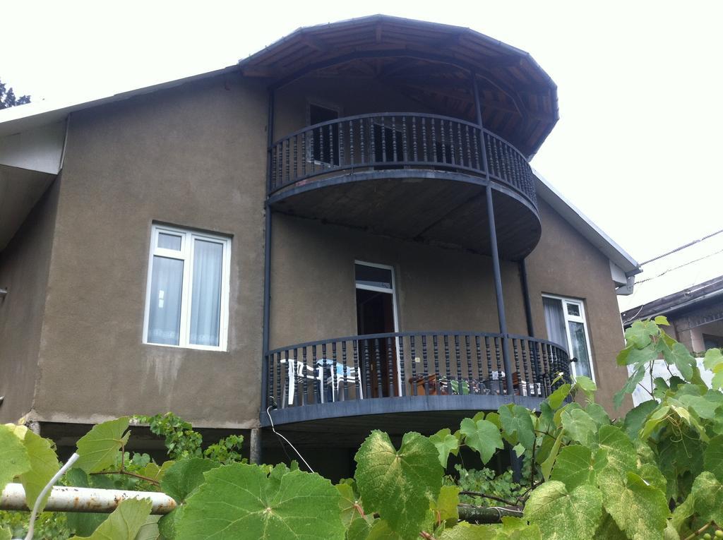 Grimis Villa Borjomi Exterior photo